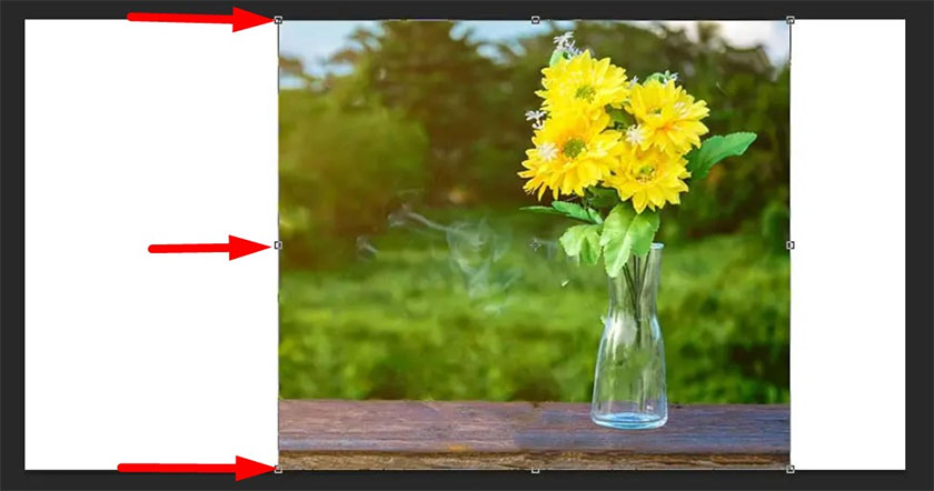 rê chuột vào các đường viền của ảnh