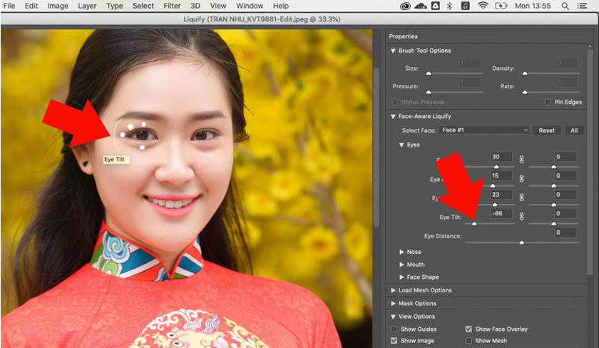 điều chỉnh phần Eye Height