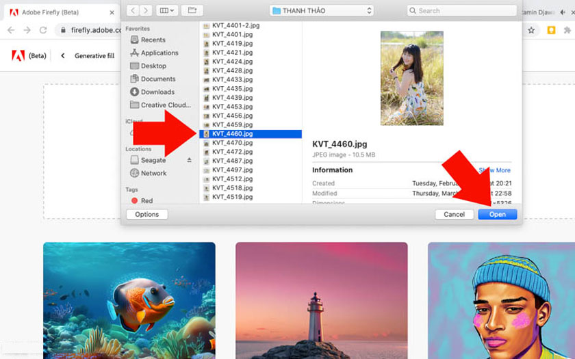 nhấn Open để tải ảnh lên máy chủ Adobe