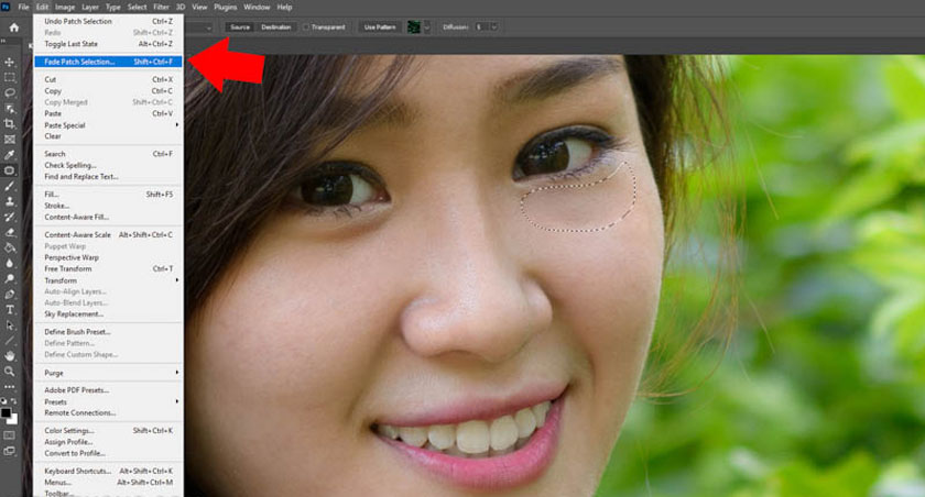 chọn Fade Path Selection để giúp cho ảnh được tự nhiên hơn