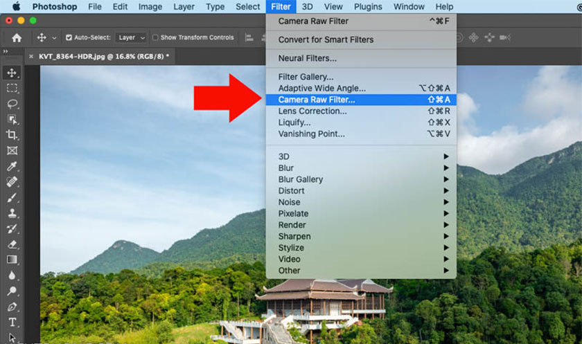 chọn Camera Raw Filter hoặc nhấn phím tắt Ctrl+Shift+X