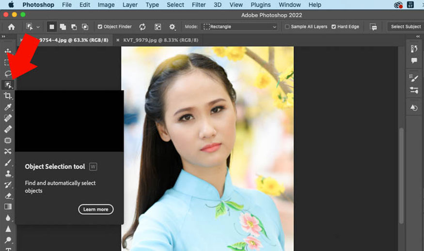 nhấn vào Object Selection Tool hoặc nhấn phím tắt là W