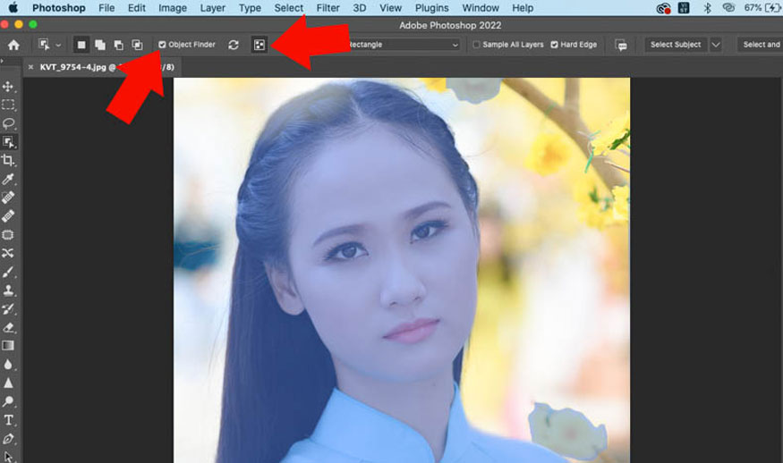 chọn Show All Object