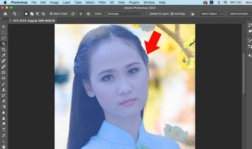 bạn sẽ thấy vùng chọn được bao quanh người mẫu như ảnh minh hoạ
