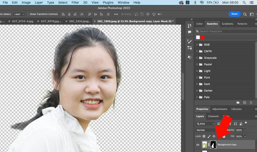 dùng công cụ Brush màu trắng đen