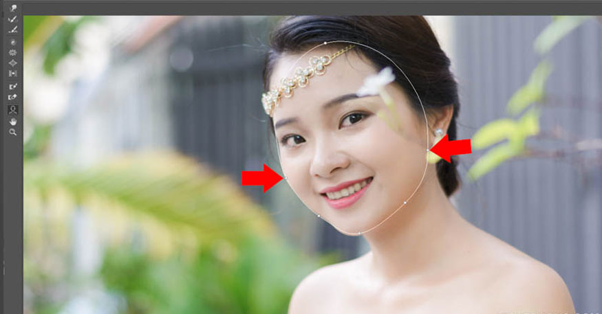 đưa chuột vào gần mặt người mẫu để xuất hiện đường giới hạn và các điểm neo điều chỉnh