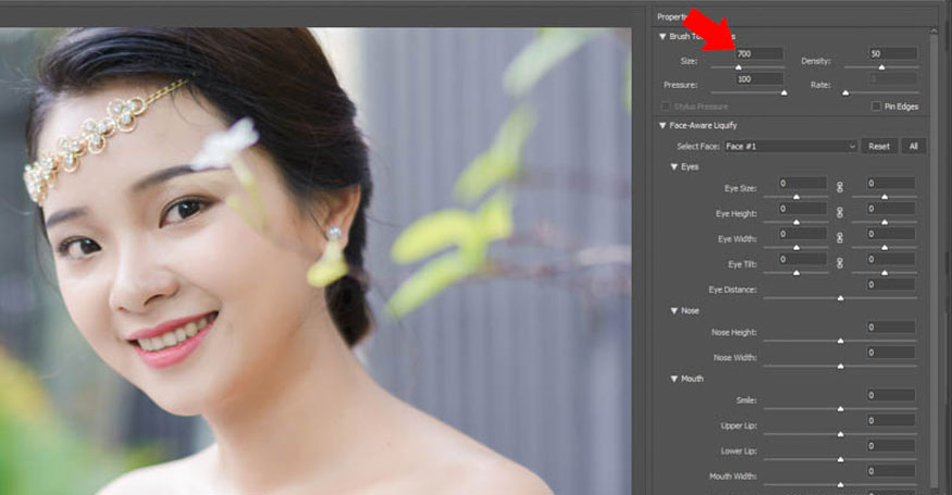nhấp vào Brush Tool