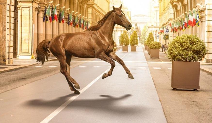 thành quả tạo bóng trong photoshop