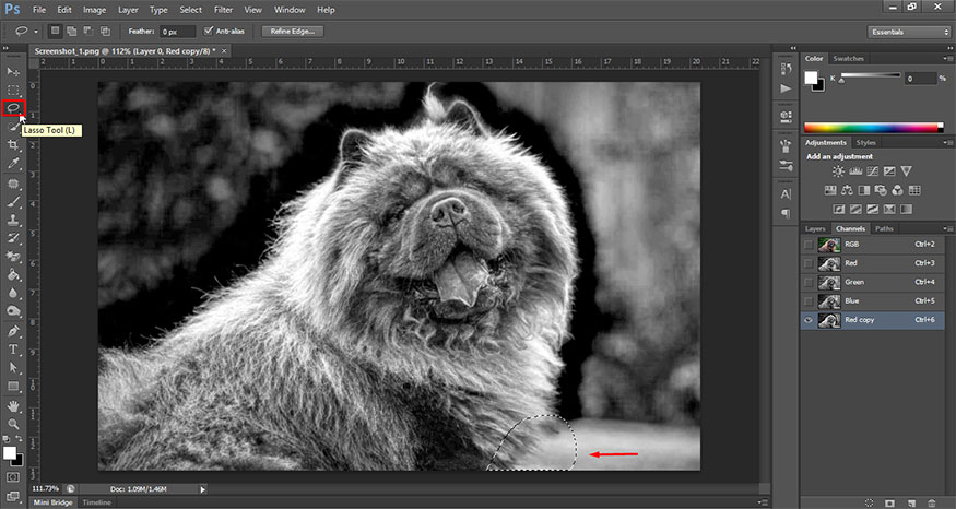 sử dụng công cụ Lasso Tool