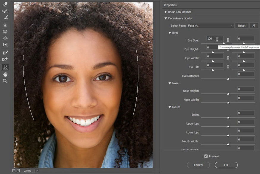 Face-Aware Liquify