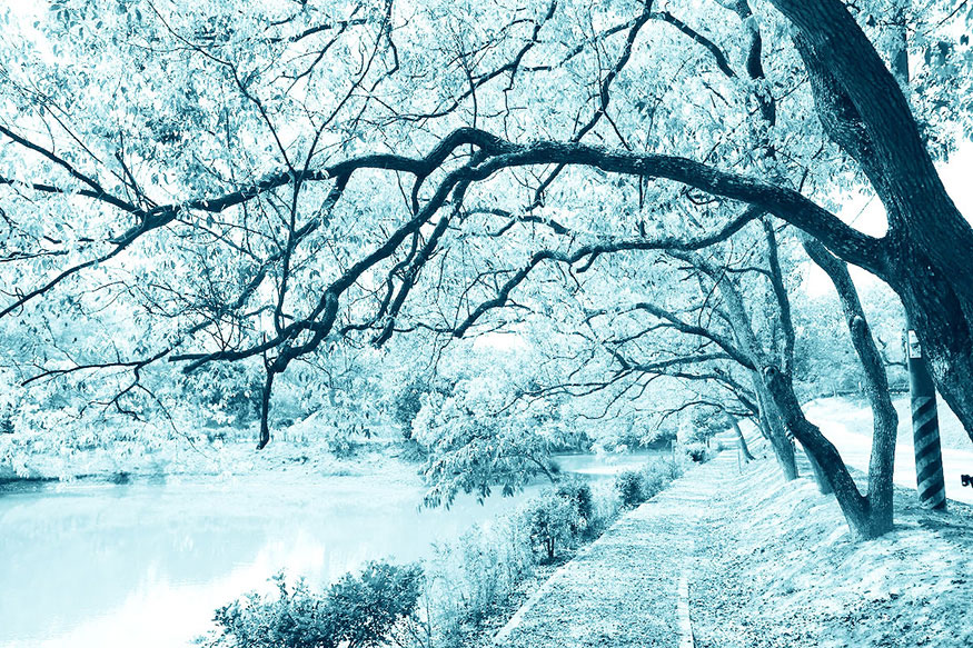 bạn đã biến ảnh mùa hè thành mùa đông trong Photoshop