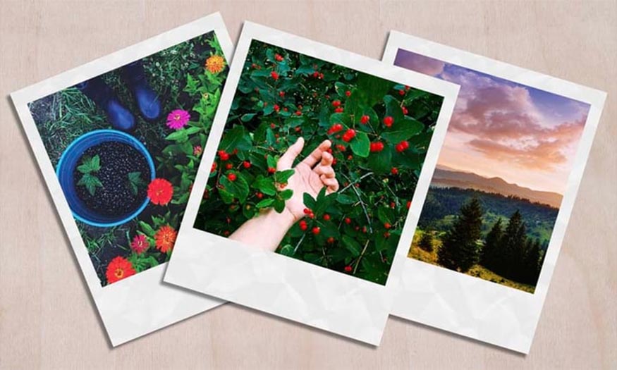 tạo một mẫu Polaroid trong Photoshop