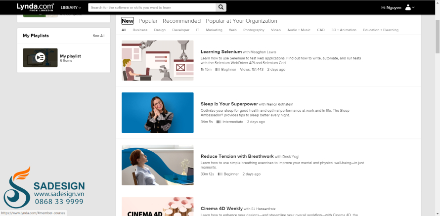 Ai nên dùng Lynda Premium