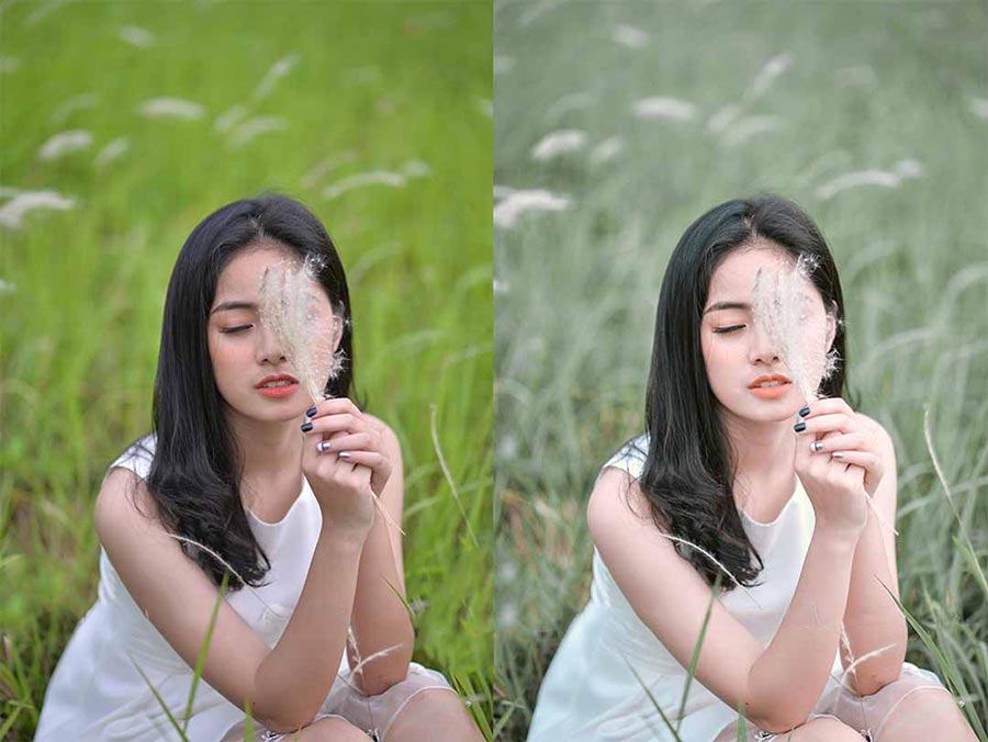 Chia Sẻ Miễn Phí 23 Preset Tăng Cường Tone Màu Xanh Cho Ảnh Chân Dung