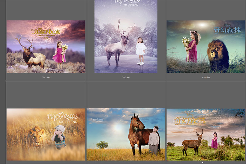 Baby PSD layout 016