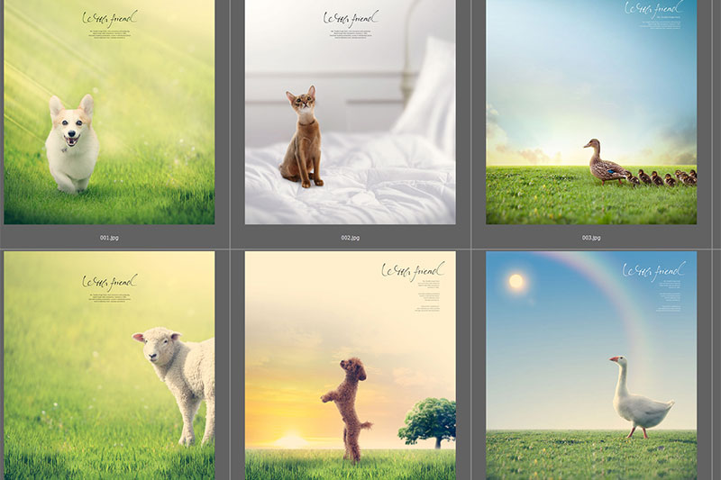 Baby PSD layout 027