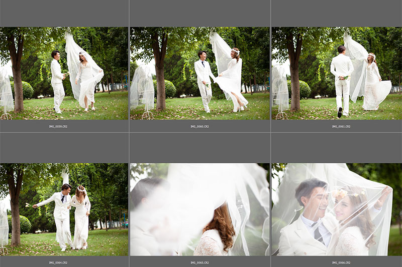 Stock Raw - SDST249