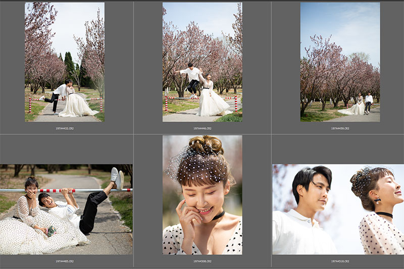 Stock Raw - SDST212