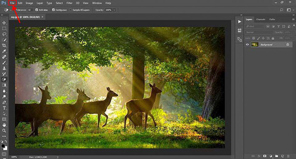 bức ảnh cần ray sáng bằng photoshop