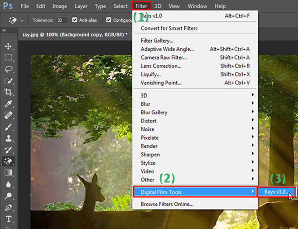 Digital Film Tools - Rayv10