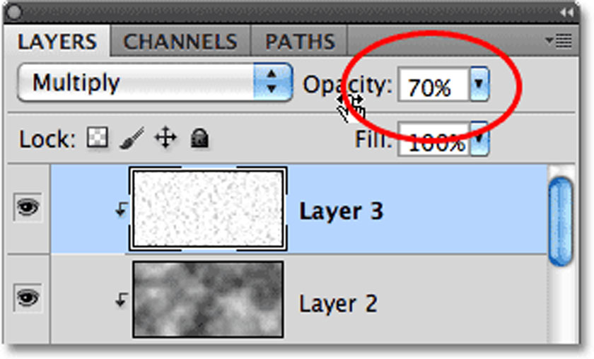 opacity 70