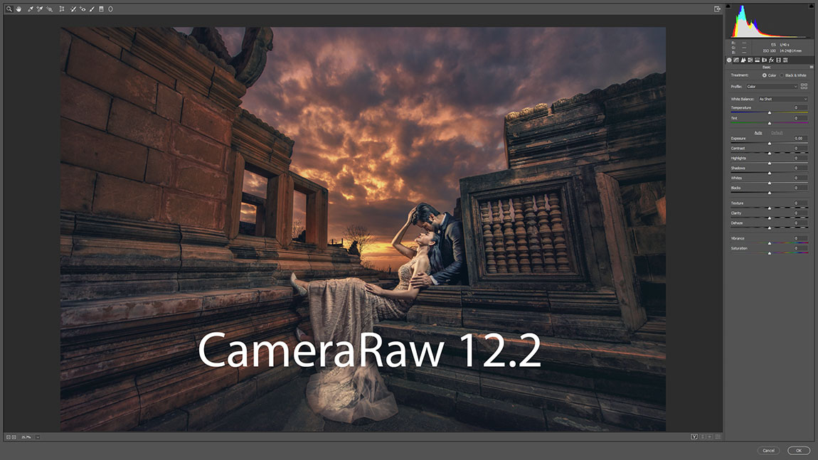 camera raw