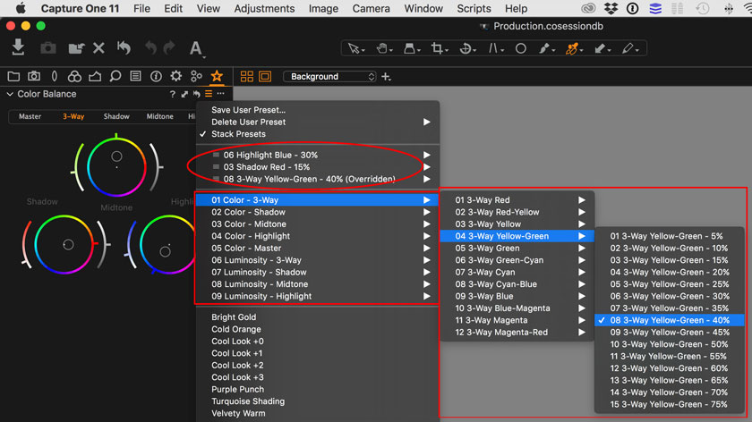 Color Balance Capture One