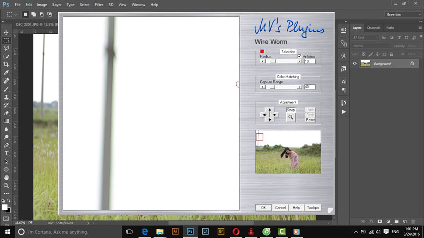 Plugin Wire Worm