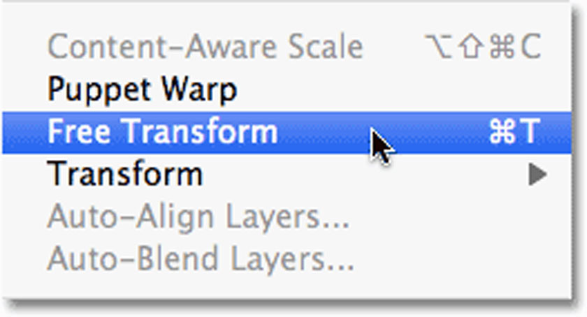 free transform