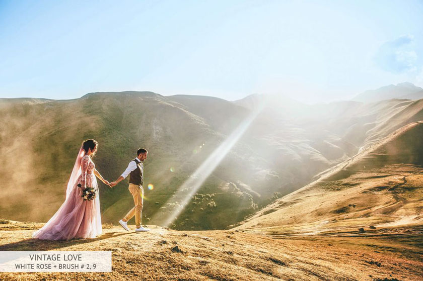 vintage love white rose preset