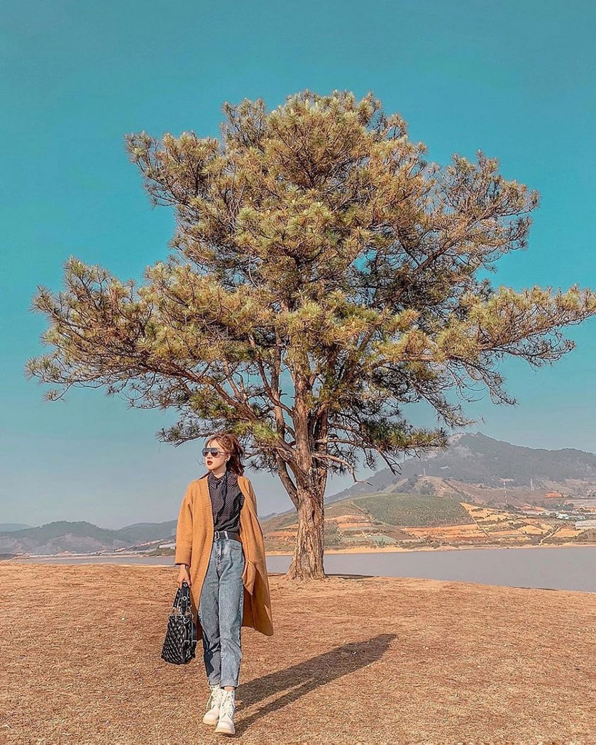 VSCO tone nâu