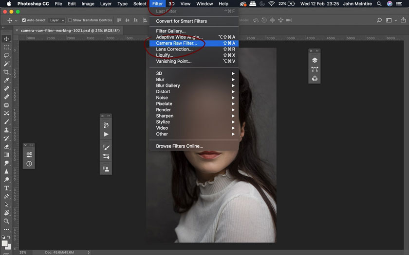 Camera Raw Filter Photoshop