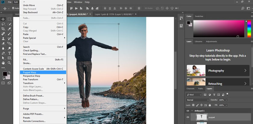 Edit puppet warp in photo