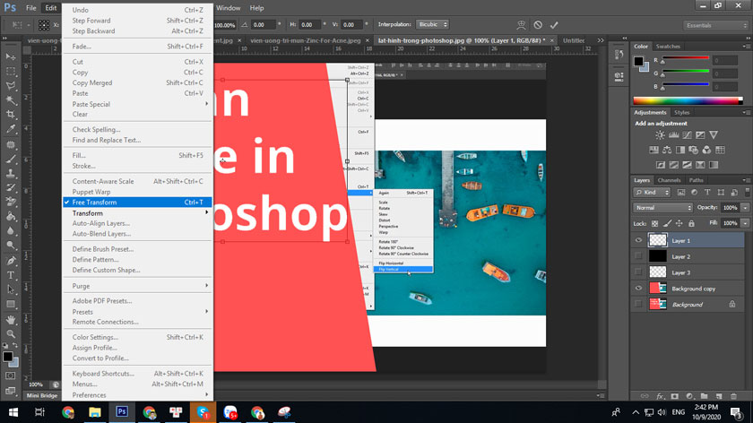 edit free transform