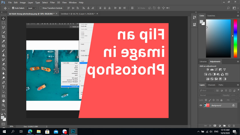 kết quả flip canvas horizontal