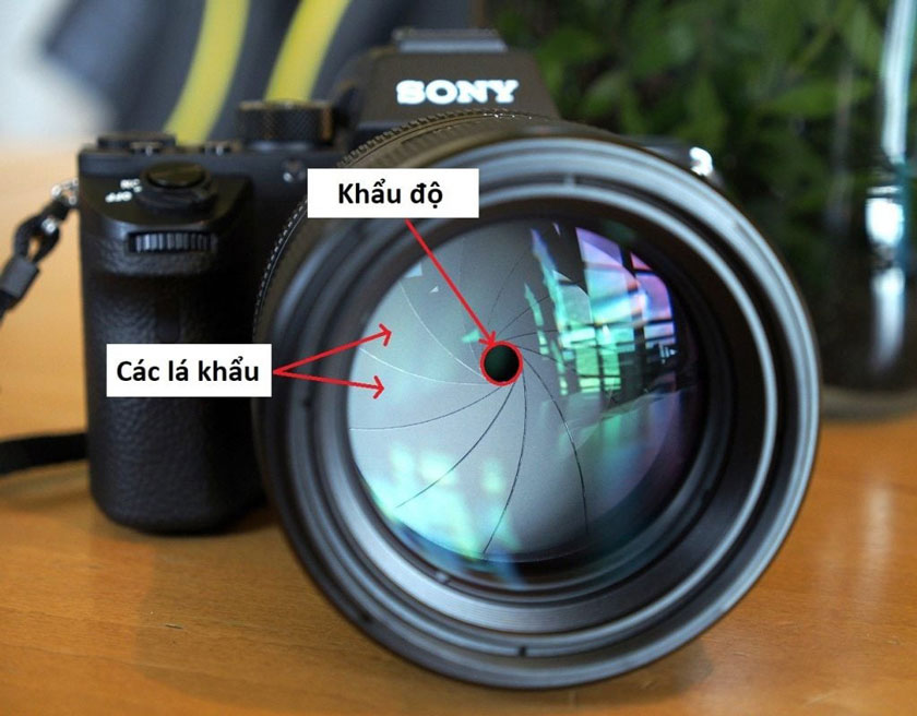 khẩu độ trên máy ảnh