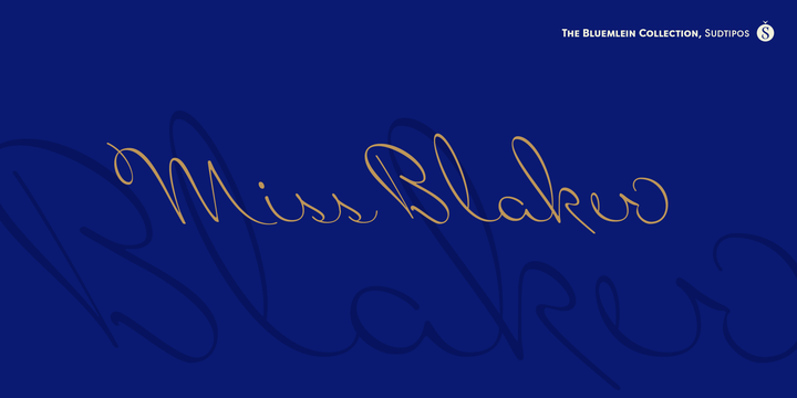 Font Chữ Đẹp 457 Miss Blaker