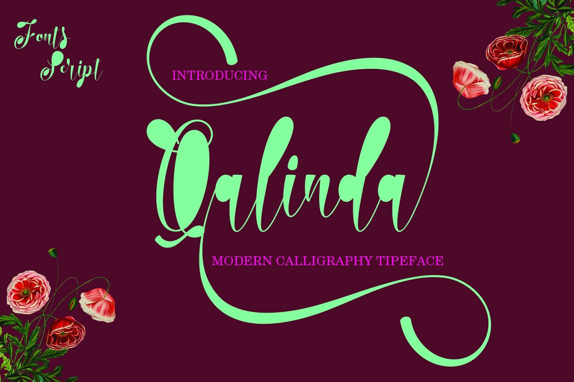 Font Chữ Đẹp 504 Qalinda
