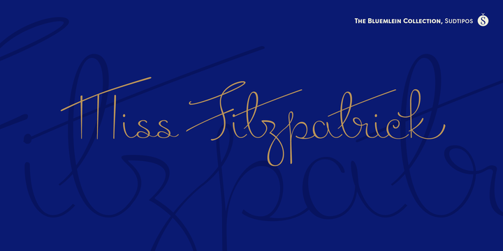 Font Chữ Đẹp 459 Miss Fitzpatrick