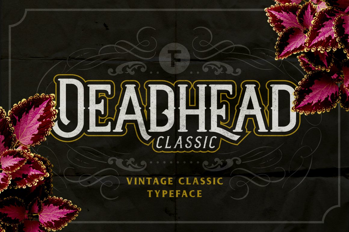 Font Chữ Đẹp 640 Deadhead Classic Italic