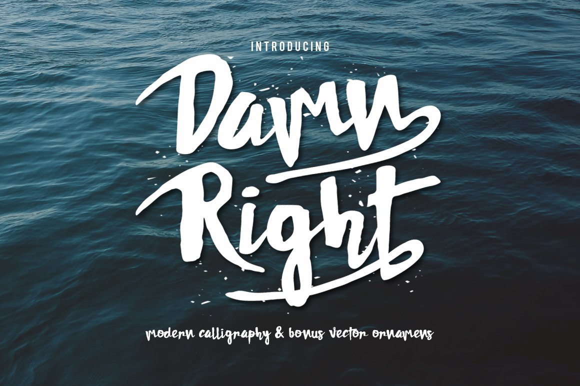 Font Chữ Đẹp 642 DAMNRIGHT
