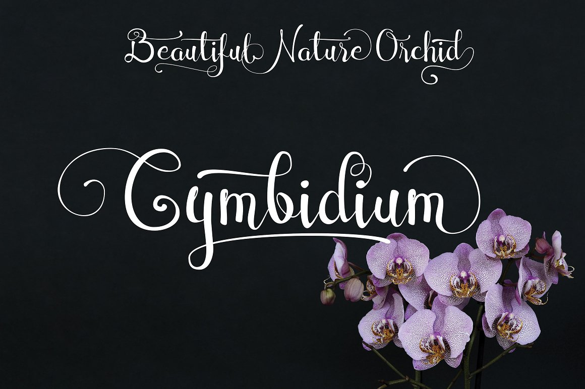 Font Chữ Đẹp 643 Cymbidium Script