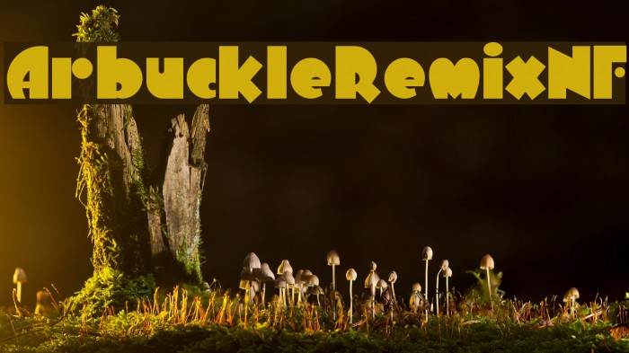 Font Chữ Đẹp 734 Arbuckle RemixNF