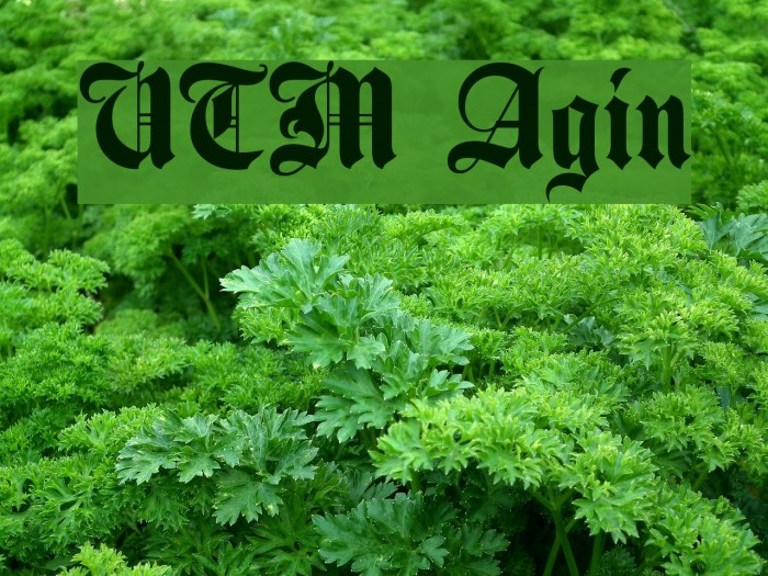 Font Chữ Đẹp 760 Agin