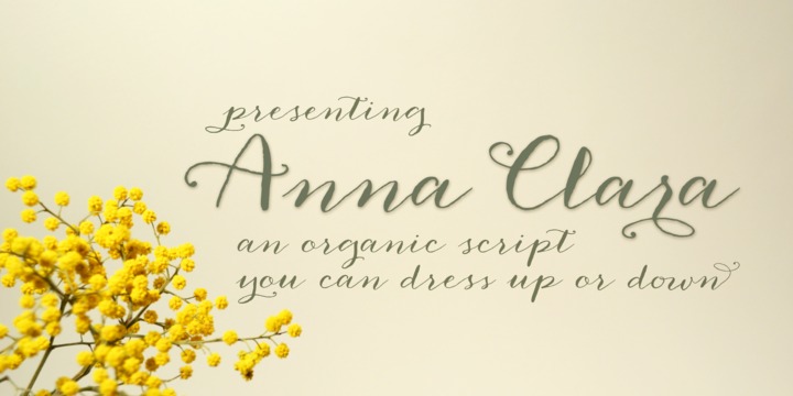Font Chữ Đẹp 829 HLT Anna Clara