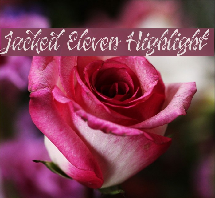 Font Chữ Đẹp 867 Jacked_Eleven_Highlight