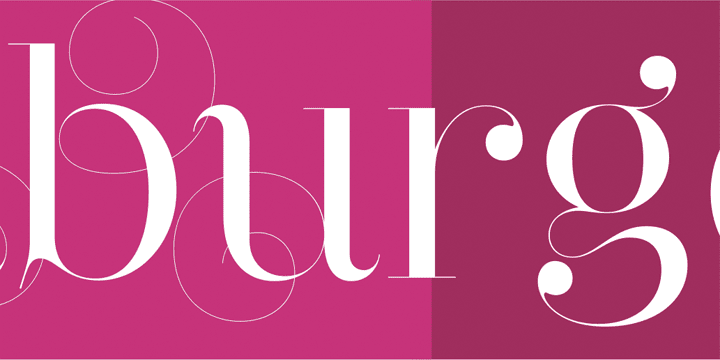 Font Chữ Đẹp 847 HLT Narziss Swirls