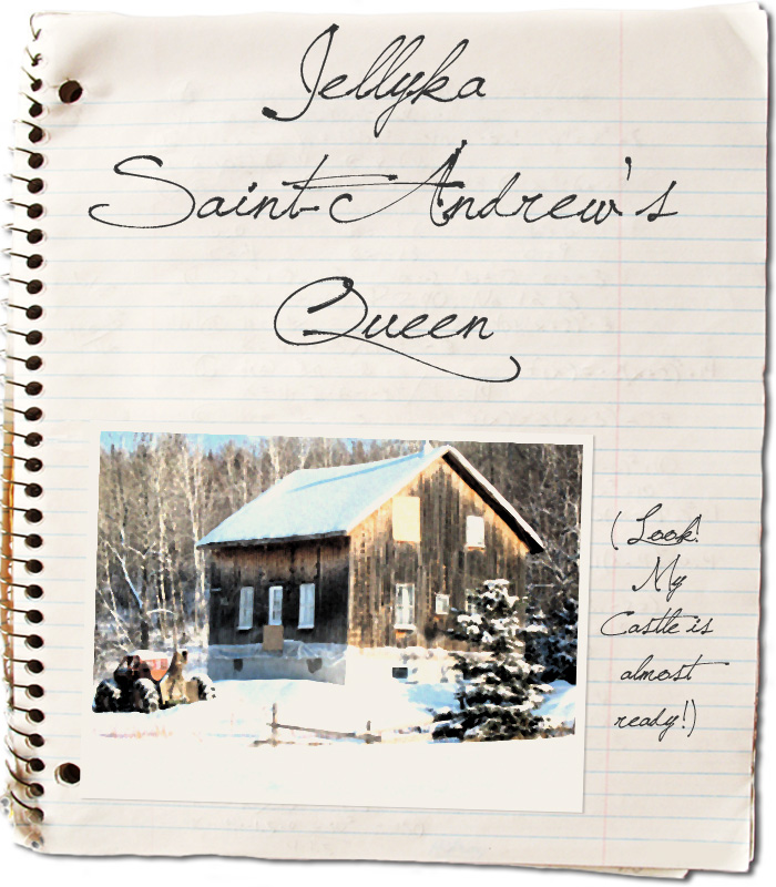 Font Chữ Đẹp 880 Jellyka Saint-Andrews Queen