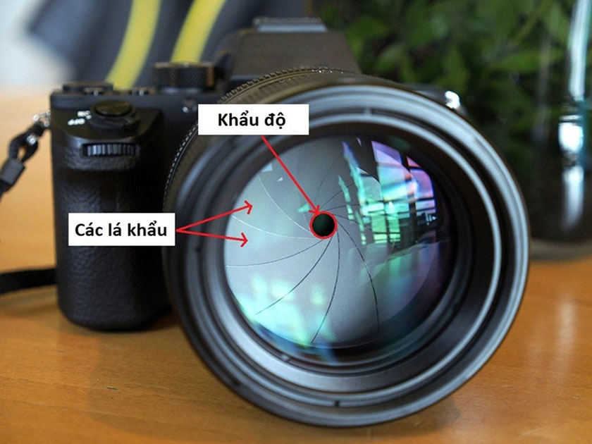 chỉnh khẩu độ của máy ảnh