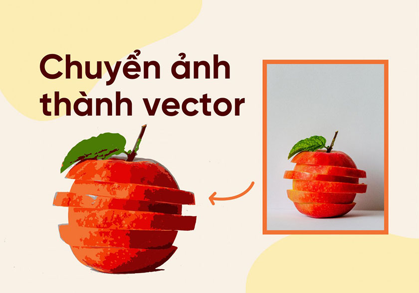 chú ý khi chuyển ảnh thành vector trong photoshop